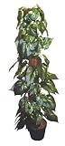 Indoor/Outdoor Artificial 3.5' Variegated Climbing Tree