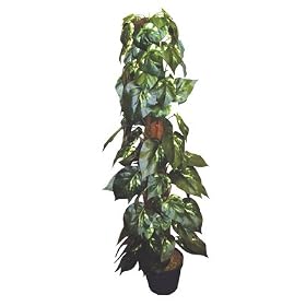 Indoor/Outdoor Artificial 3.5' Variegated Climbing Tree