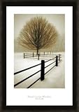 Solitude By Winston FRAMED Art Print. 24 x 36 Inches