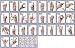 AMERICAN SIGN LANGUAGE