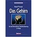 Psychologie