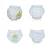 Baby Girls' Training Pants Reusable 5 Pack Toilet Training Underwear Panties Nappy Size 80 18Months 2T