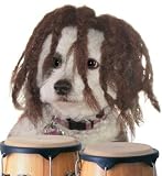 Cool Dredog Doggie Wig