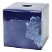 Allure Home Creations Eve Decal Ceramic Tissue Box