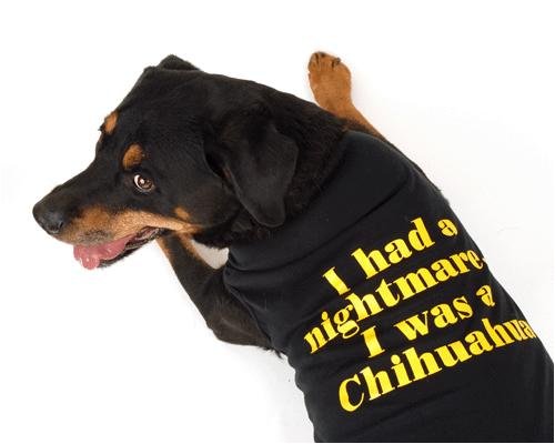 Dog Shirt – “I had a nightmare… I was a Chihuahua” – XXXX-Large (4XL)