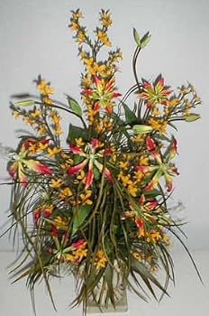 30" Gloriosa Lily and Forsythia Arrangement