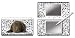 Pebble Entertainment Dalmation Graphic Skin for DS Lite (Nintendo DS)