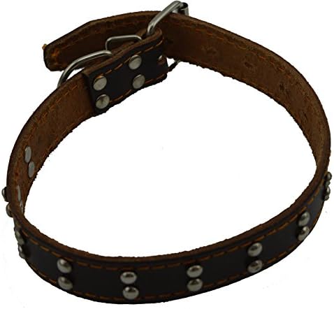 Petown High Quality Genuine Leather Studded Dog Collar (1.1 inch x 20 inch)