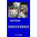 KITTENS DISCOVERED