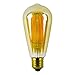 LIGHTSTORY Tinted LED Decorative Bulb ST19, E26 Base 2200K Non-dimmable 4.5W/50W Vintage LED Filament Bulb