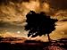 Day of Wrath Photographic Poster Print by Mark James Gaylard, 12x9