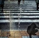 嚠喨カリキュラム()