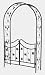 Tierra-Derco 36286 Garden Walk Bacchus Steel Arch with Gates