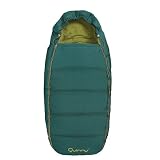 Quinny buzz 2008 バズ フットマフ アップル