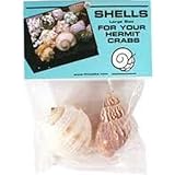 Florida Marine Research SFM33331 2-Pack Hermit Crab Shell, Large