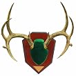 Allen Company Skull Cover Antler Mounting Kit