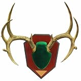 Allen Company Skull Cover Antler Mounting Kit