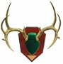 Allen Company Skull Cover Antler Mounting Kit (Green)