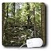 WhiteOak Photography Nature Scenes - A hidden wooden bridge - Mouse Pads