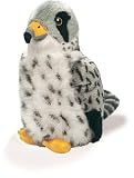 Audubon Birds - Gyrfalcon