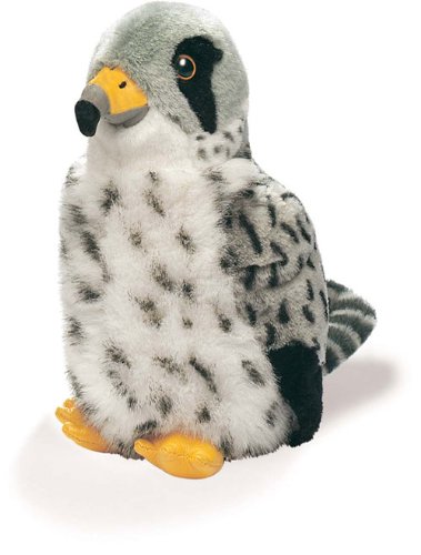 Audubon Birds - Gyrfalcon