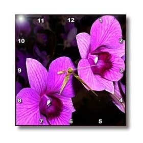 Flowers - Orchids - Wall Clocks