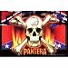 Pantera Skull and Flag Fabric Poster Flag