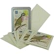Parakeet Cavallini Boxed Cards and Envelopes, Set of 10 with Vintage Look