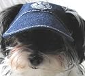 Dog Sun Visor in Denim for Dogs 12-25 Lbs