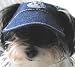 Dog Sun Visor in Denim for Dogs 12-25 Lbs
