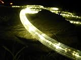 10Ft Gold LED Rope Light