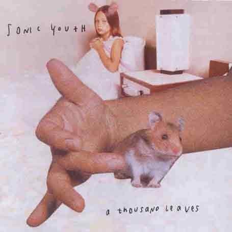 Sonic Youth - A Thousand Leaves (1998) - Zortam Music