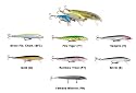 Maurice Sporting Goods #F09S Rapala 09 Silver Fish Lure