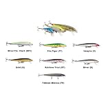 Maurice Sporting Goods #F09S Rapala 09 Silver Fish Lure