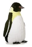Aurora Plush 24