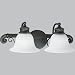 2-100 Watt Medium Bath Bracket