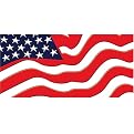 U.S.A. Flag Mural