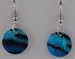 Blue Tiger Stripe Earrings