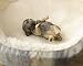 German Shepherd Puppy Figurine