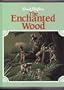 The Enchanted Wood