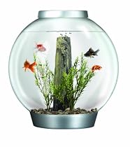 biOrb Mega with Halogen Light, Silver, 16 Gallons