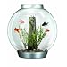 biOrb Mega Aquarium with Halogen Light, Silver, 16 Gallons