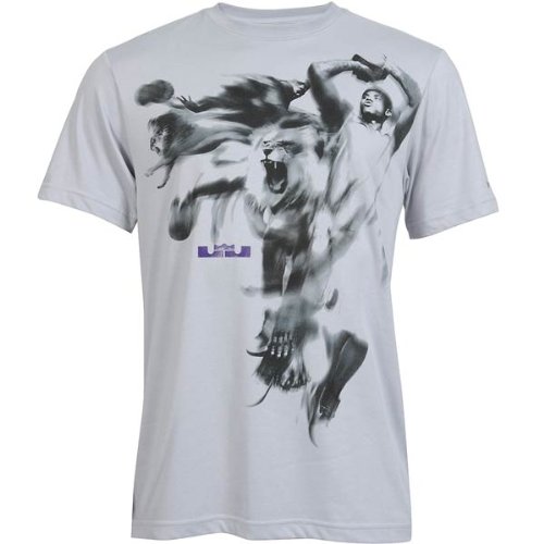 NIKE Herren T-Shirt Lebron 3D (HERO), wolf grey/wolf grey, M, 439549 Preisvergleich