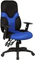 High Back Mesh Ergonomic Task Chair with Adjustable Arms [BT-6001-BEBK-GG]