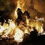 Birds In The Storm Edition Limit�e Digipack (inclu&hellip ~ AaRON
