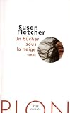 Un bûcher sous la neige