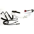 Safety & Shooting Glasses & Ear Plugs Radians