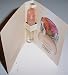 Van Cleef & Arpels Eau De Parfum Oriens 2 Ml Sample Free Shipping