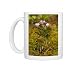 Photo Mugs of Bog rosemary - in flower from Ardea Wildlife Pets