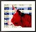 Bull in Front of Stock Market Quotes Framed Photographic Poster Print, 26x22